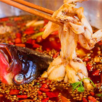 成都美蛙魚頭火鍋技術(shù)培訓(xùn)哪里專業(yè)？多元化的產(chǎn)品