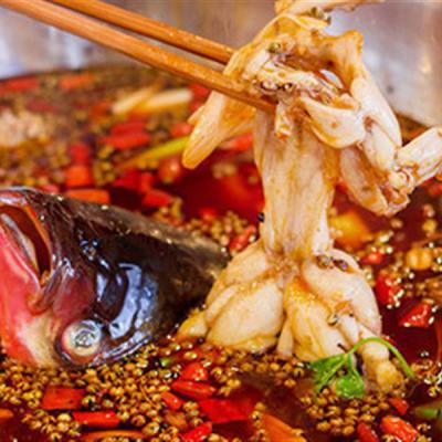 重慶美蛙魚頭火鍋技術(shù)培訓(xùn)多少錢？