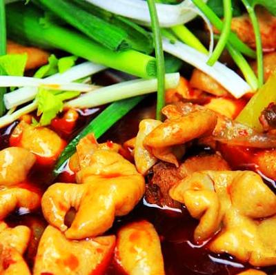 肥腸雞技術(shù)培訓(xùn)要去哪里學(xué)？